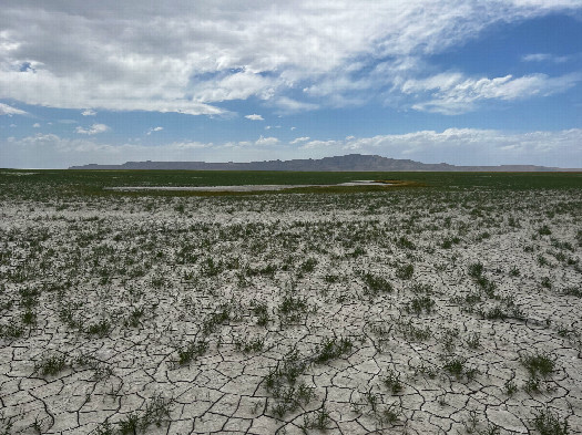 #1: The confluence point lies on the (dried-up) shoreline of Great Salt Lake.  (This is also a view to the West, towards Antelope Island.)