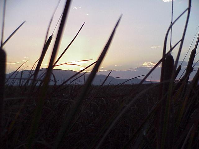 Great Salt Lake Marsh and Antelope Island, taken from 2300 meters east of the confluence.