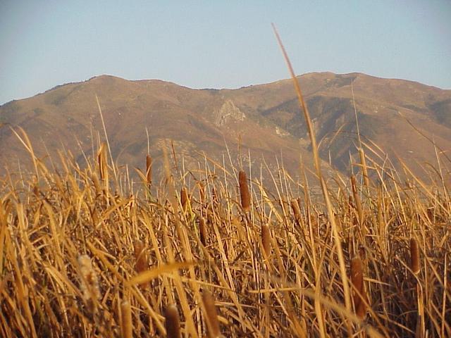 View to the west, Wasatch Mountains and Great Salt Lake Marsh.