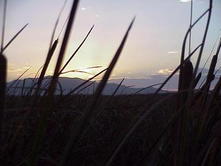 #1: Great Salt Lake Marsh and Antelope Island, taken from 2300 meters east of the confluence.