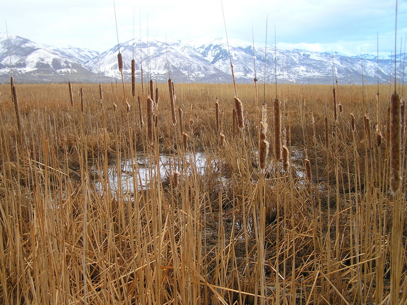 View to the southeast from the closest point to the confluence.