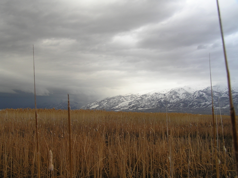 View to the north.