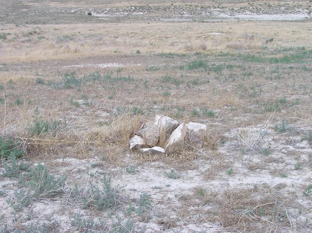 The confluence point is marked by a cairn