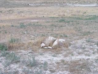 #1: The confluence point is marked by a cairn