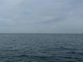 #5: Looking North toward the Eastern Shore of Virginia, and the High Rise Bridge of the CBBT.