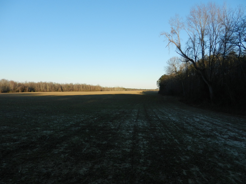 One of two deer stands seen at edge of peanut field on the walk to the confluence