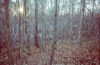 #1: View to the west, back across the gully we had to walk around