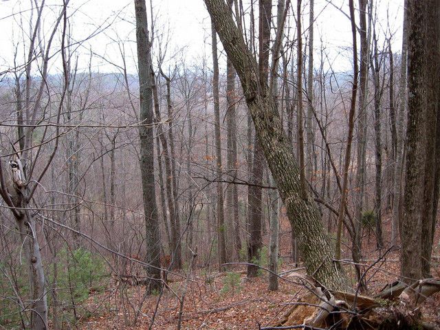 View south down the hill toward Countryside Lane.