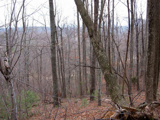 #1: View south down the hill toward Countryside Lane.