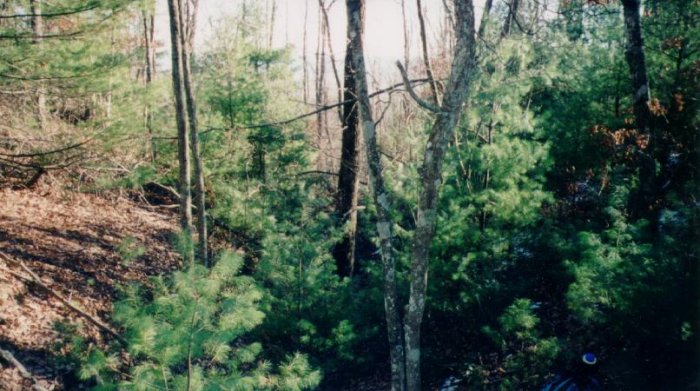 Looking south down the drainage.