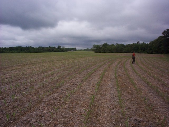 The middle of a field.  No statue of John Paul Jones here.