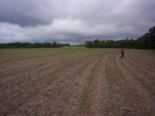 #1: The middle of a field.  No statue of John Paul Jones here.