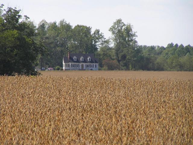 View to the west showing the nearest house to the confluence.