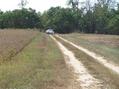 #8: First part of the confluence trek showing starting point at vehicle.