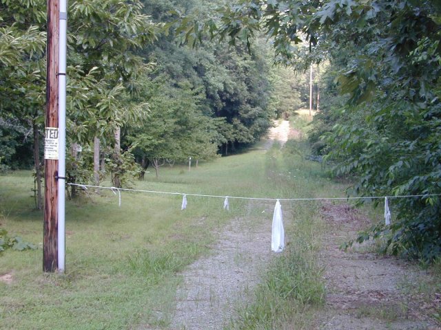 This confluence is in rural Virginia and located on private property.