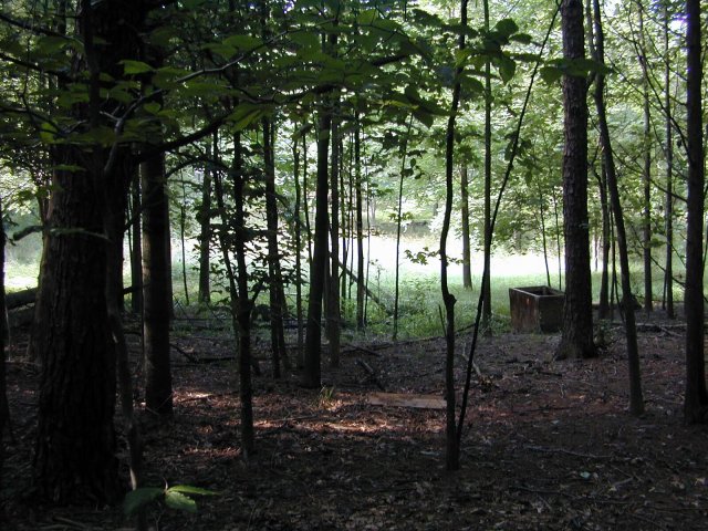 Looking roughly north from the confluence.