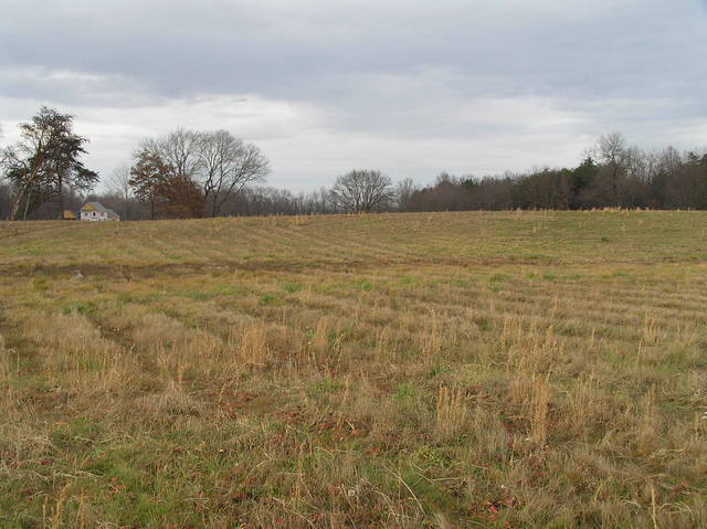 View to the northwest from the confluence of 38 North 79 West.