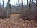 #2: View down the clearing to the east.