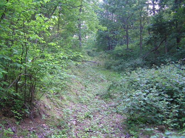 View to the west from the confluence.