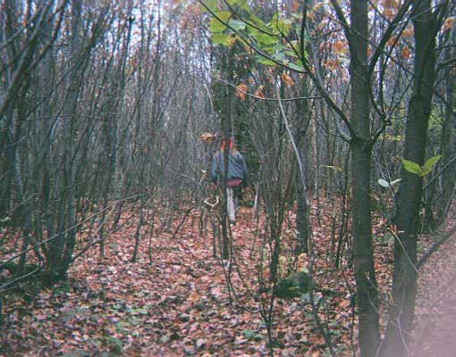 We search for a possible monument on this National Forest land.