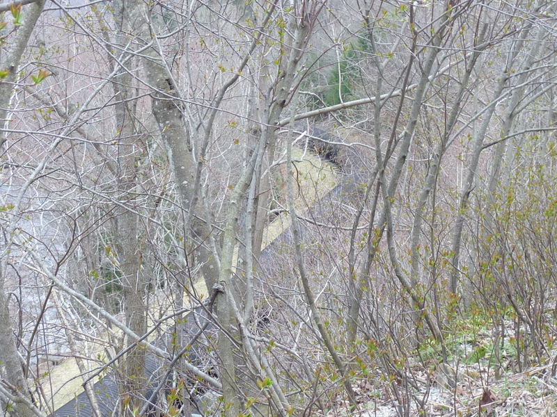 Wooden water pipe along the Somerset road