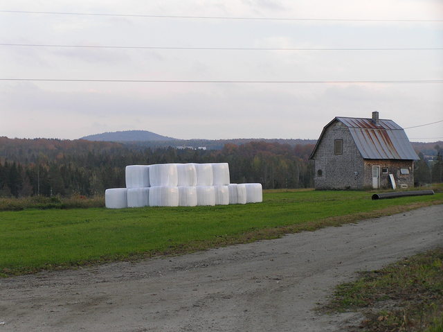 Covered hay in field, looking toward the confluence, 1.5 km northwest of the confluence.