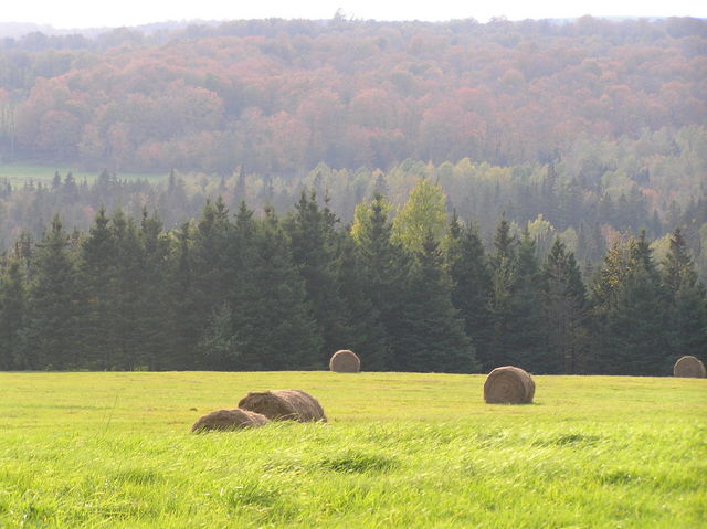 Beautiful scene in Vermont, 5 km west of the confluence.