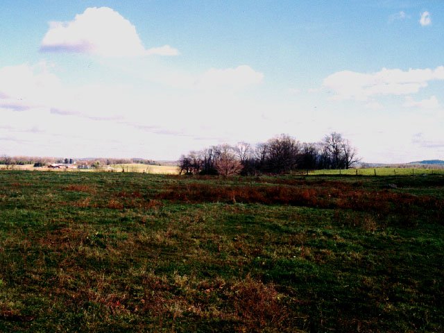 View from the confluence