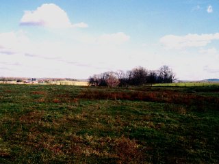 #1: View from the confluence