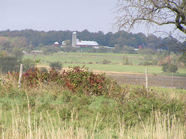 View to the northeast from the confluence.