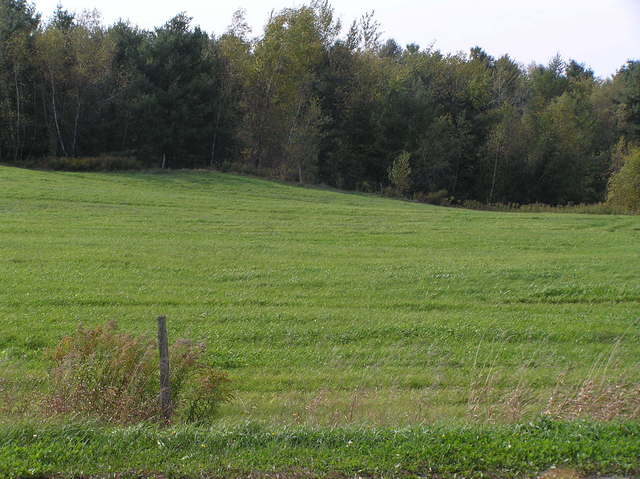 View to the west from the confluence.