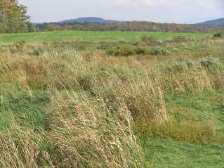 #1: Confluence of 45 North 73 West, near the Canadian border, looking to the east.  The confluence is in the foreground.