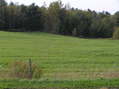 #7: View to the west from the confluence.