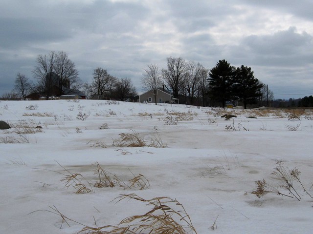 The confluence lies 65 m beyond in this view looking south.