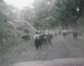 #2: Early Morning Traffic Jam