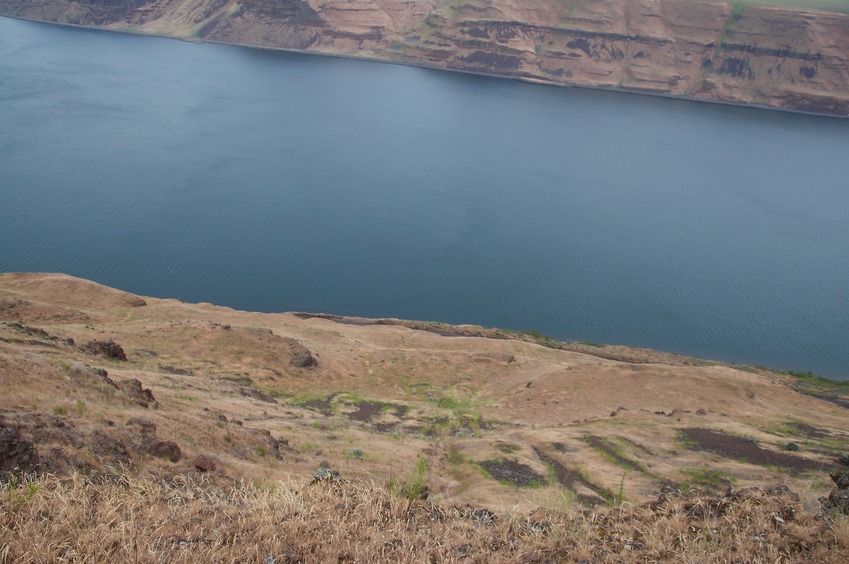 The confluence point lies 0.18 miles away, down this steep cliff, near the bank of the Columbia River. (This is also a view to the East.)