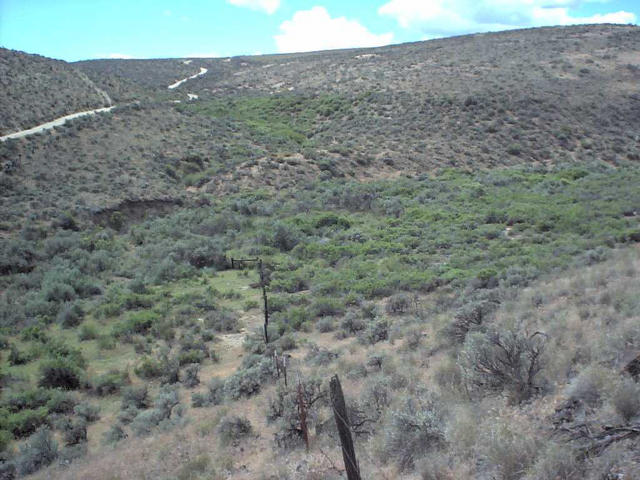 Dead Canyon and shrub-steppe vegetation.