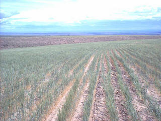 #1: The confluence, looking east.