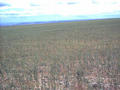 #2: View to south from confluence, Canoe Ridge visible.