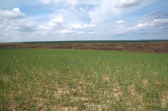 #1: View North (across Garbage Canyon)