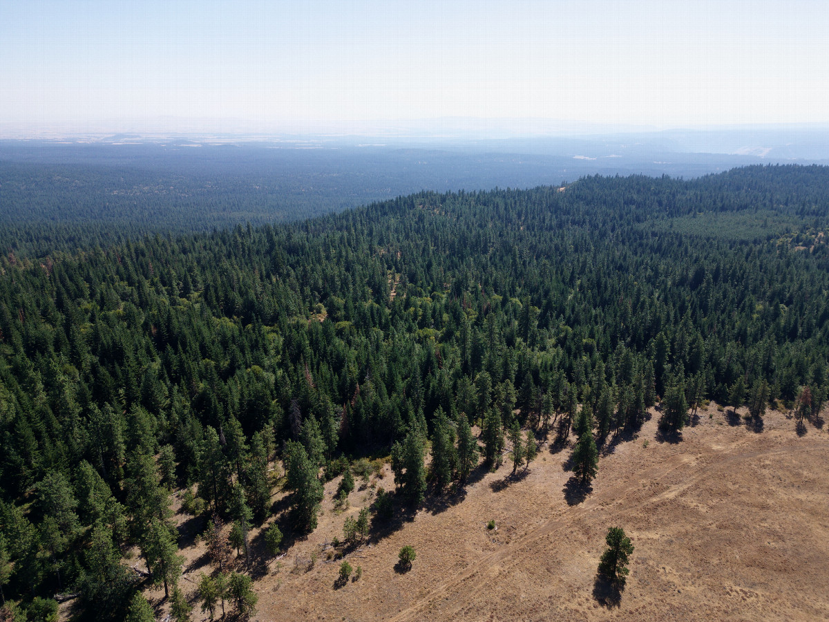 View South, from 120m above the point