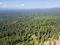 #8: View North, from 120m above the point