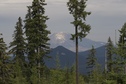 #7: A view of Mount Saint Helens, from near the confluence point