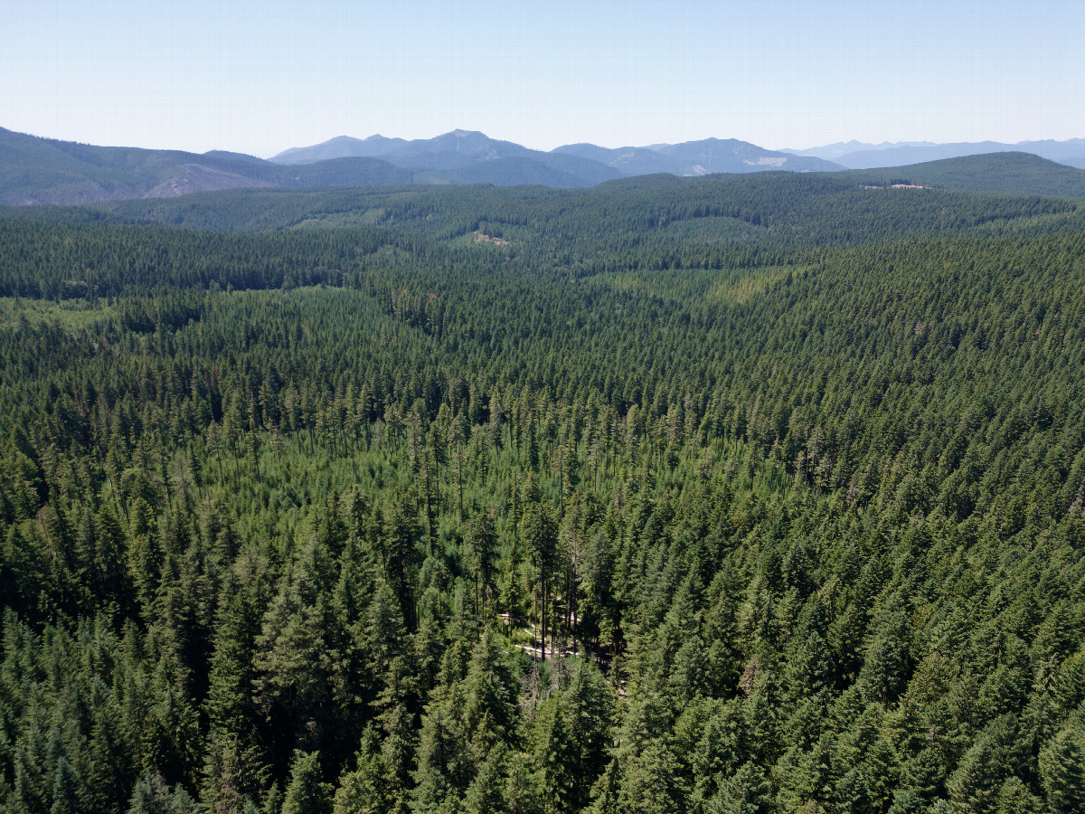 View West, from 120m above the point