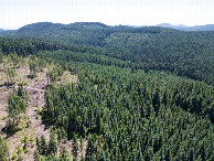 #10: View South, from 120m above the point