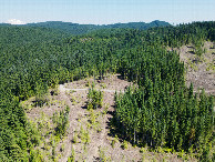 #9: View East (towards Mount Adams, in the top-left corner) from a height of 120m