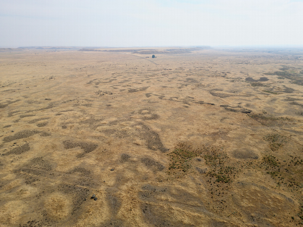 View South, from 120m above the point