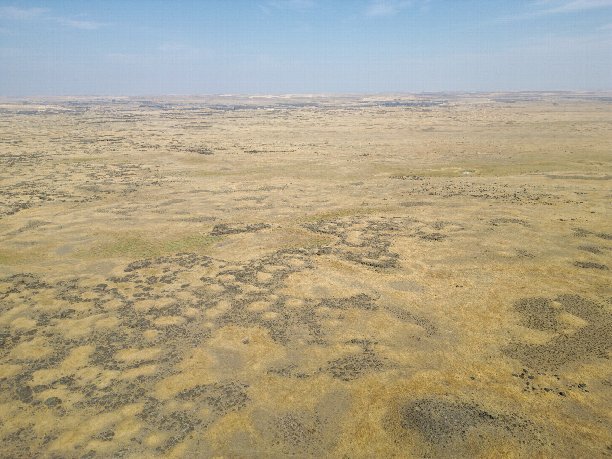 View East, from 120m above the point