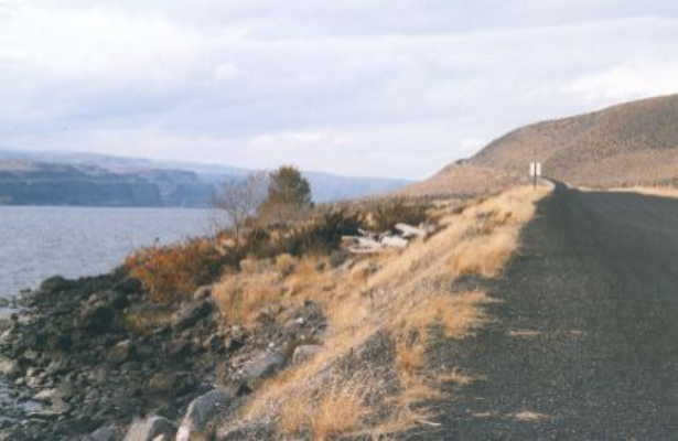 Looking north towards the river (and Vantage Rd) from the boat ramp