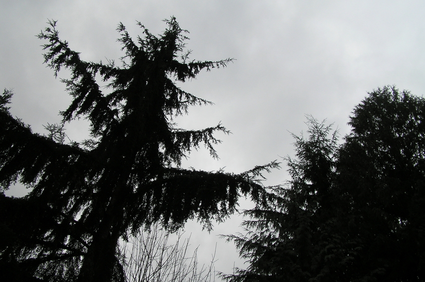 Sky view at confluence point.